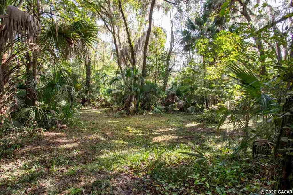 0 Wacahoota Road Micanopy, FL 32667 - Photo 1 of 1 Gallery Image 1