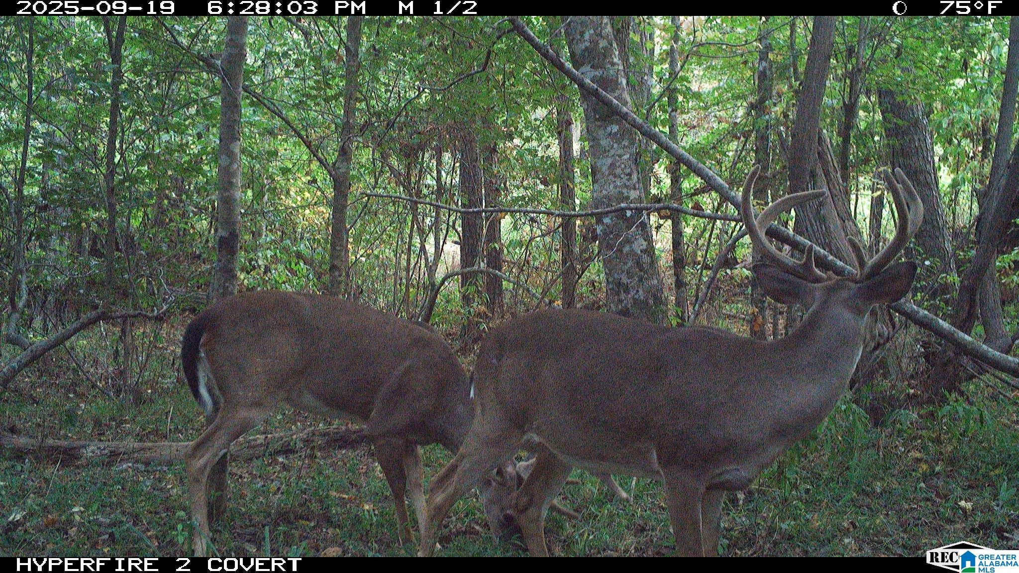 1 Highway 13, Unit 1 Berry, AL 35546 - Photo 12 of 52