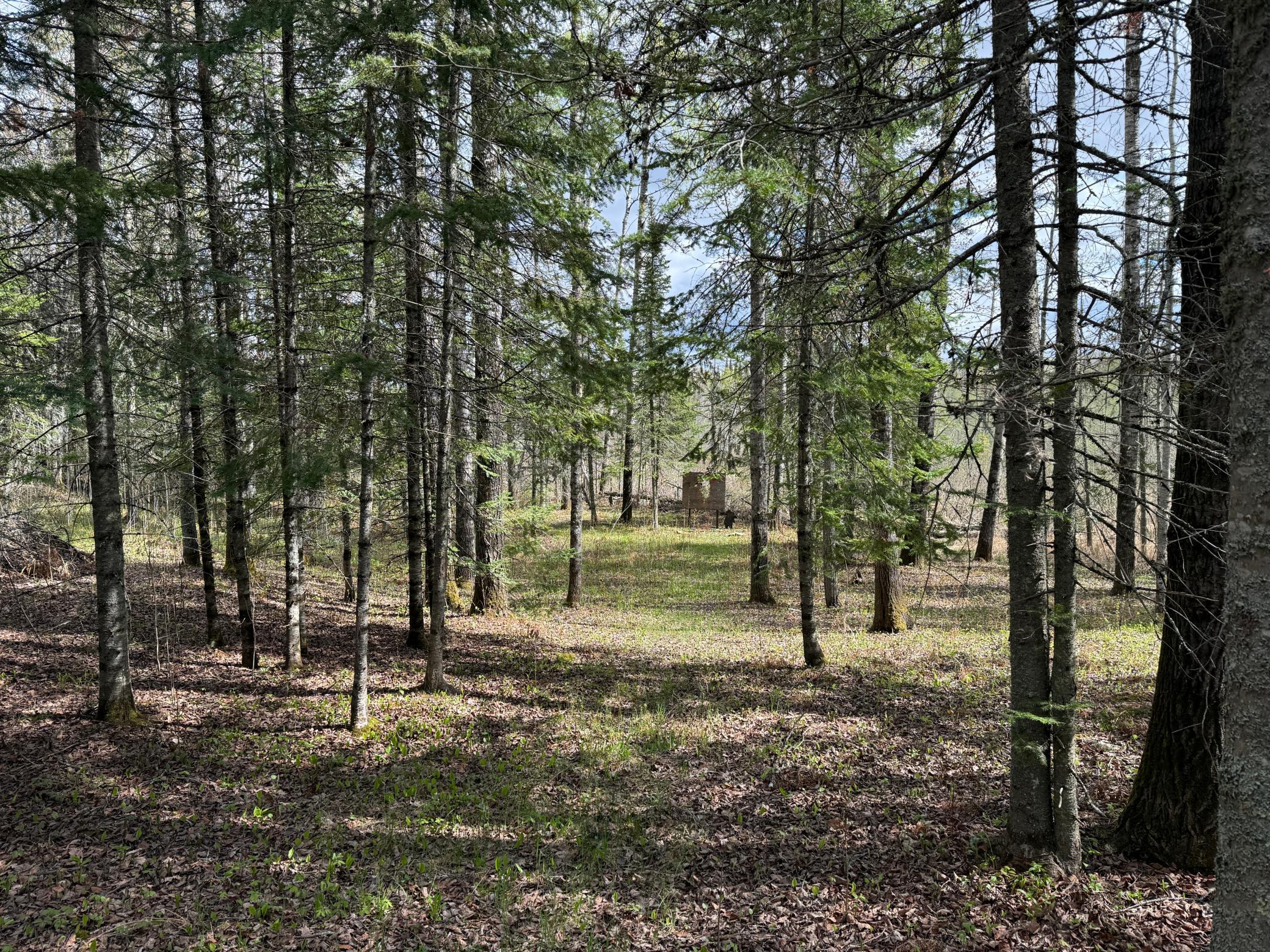 7355 West Melrude Road Cotton, MN 55724 - Photo 34 of 66