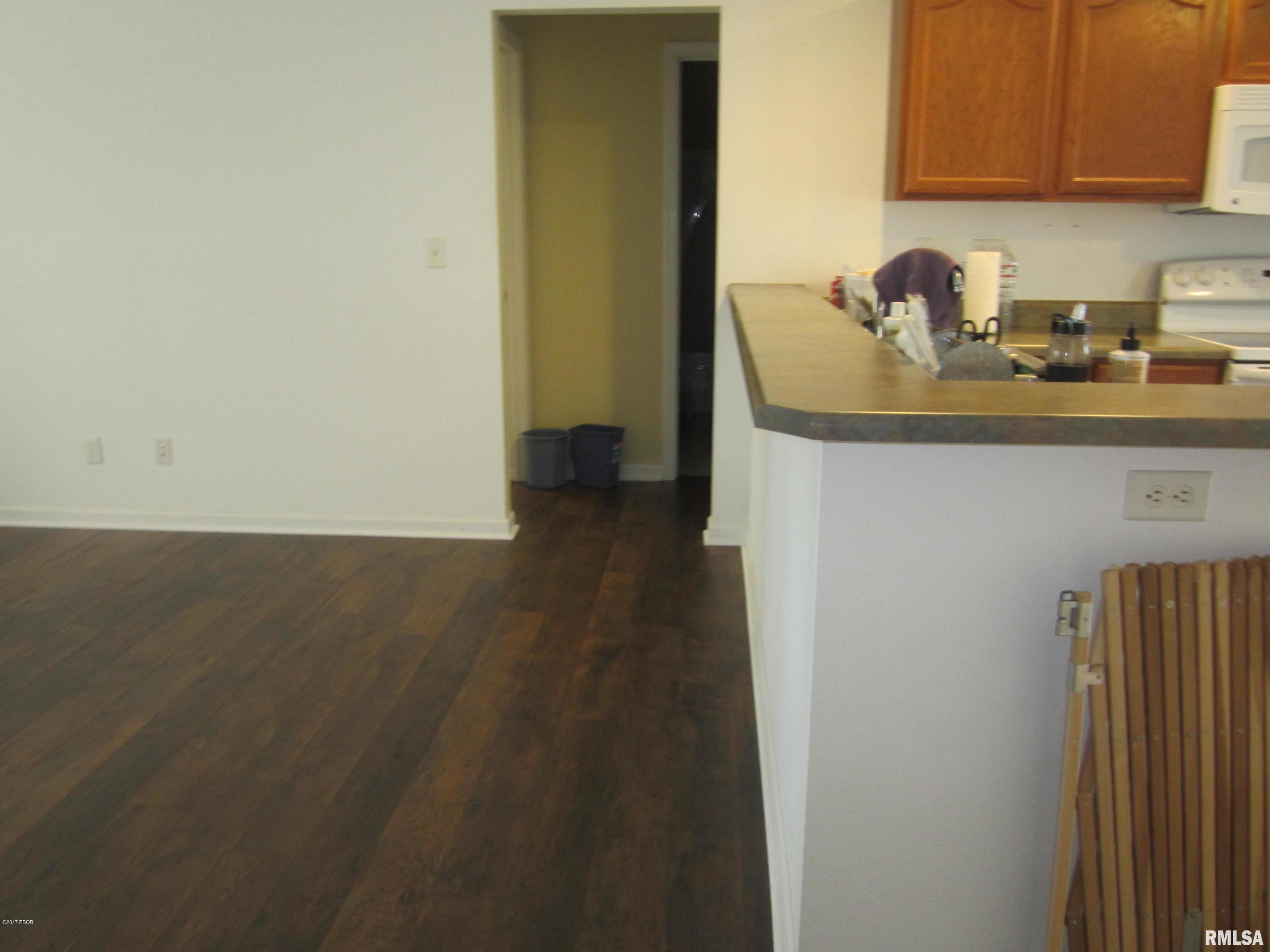 605 West Rigdon Street Carbondale, IL 62901 - Photo 10 of 32 Gallery Image 10