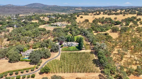 an aerial view of a house with a yard and large tree