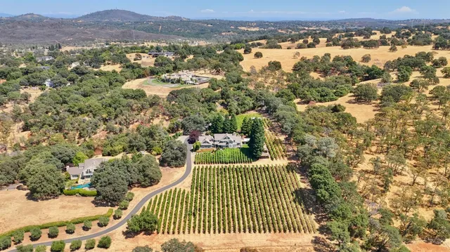an aerial view of a house with a yard and large tree