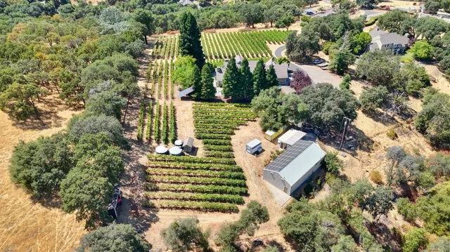 a view of a park with iron fence