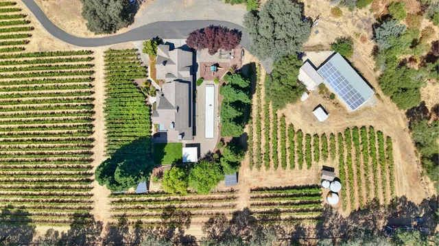 a front view of a house with a yard and potted plants