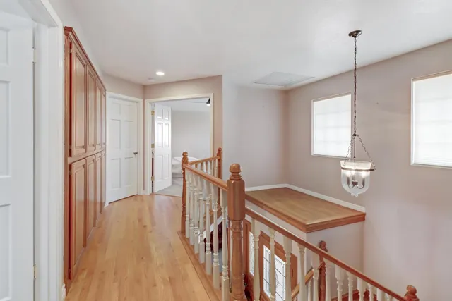 a view of a pathway with a tree in the background