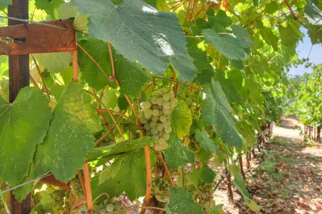 $2,199,000 | 1781 Rocky Springs Court, El Dorado Hills, CA 95762