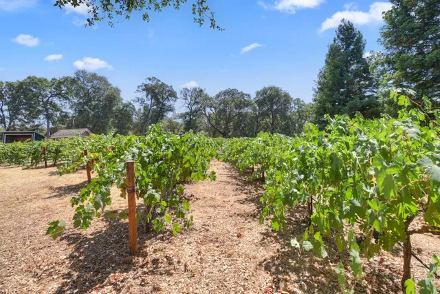 $2,199,000 | 1781 Rocky Springs Court, El Dorado Hills, CA 95762