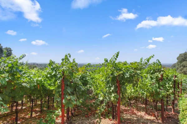$1,999,000 | 1781 Rocky Springs Court, El Dorado Hills, CA 95762