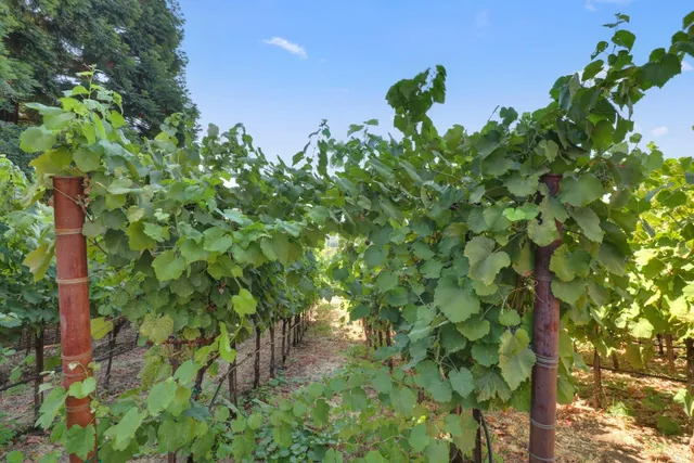 $2,199,000 | 1781 Rocky Springs Court, El Dorado Hills, CA 95762