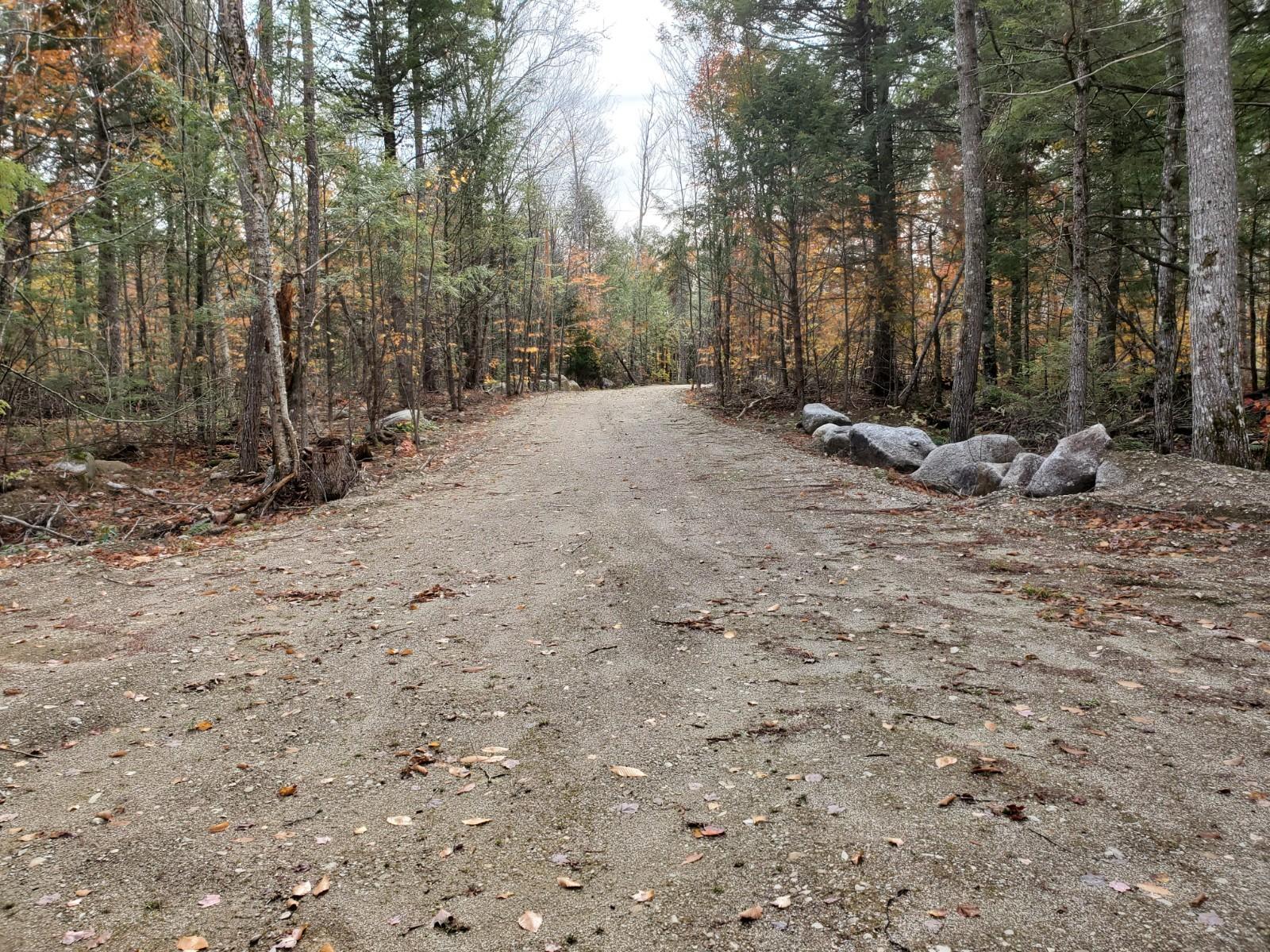 Lot 2 Still Road Lincoln, ME 04457 - Photo 3 of 12 20201019_123247