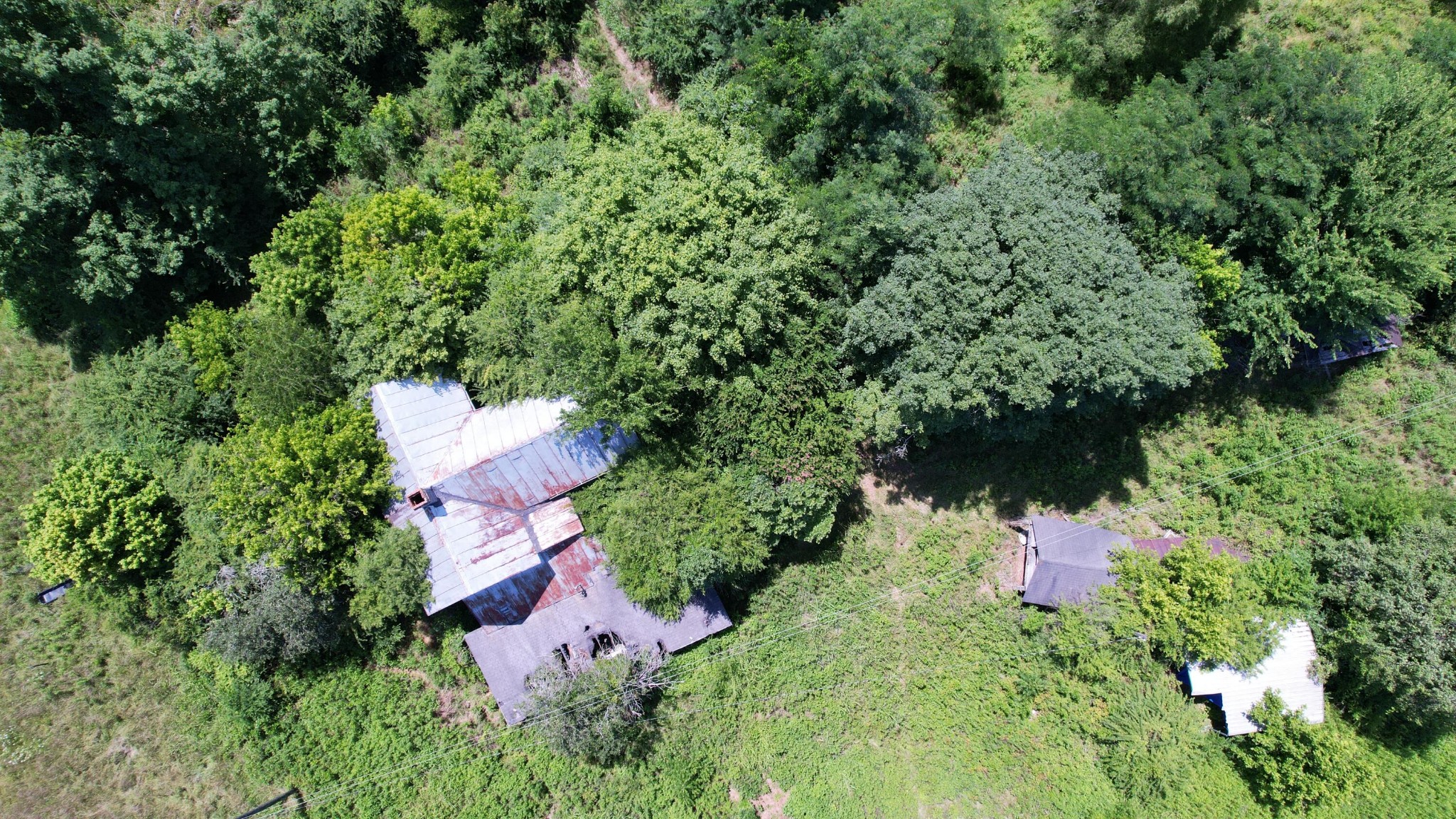 5047 Toestring Valley Road Spring City, TN 37381 - Photo 39 of 44 Gallery Image 39