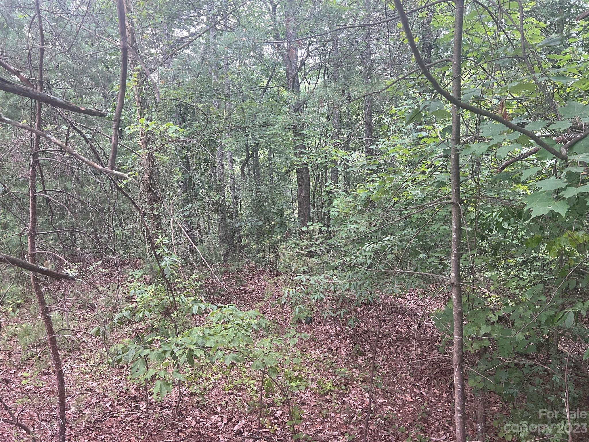 4530 Blue Ridge Boulevard Morganton, NC 28655 - Photo 1 of 8 Gallery Image 1