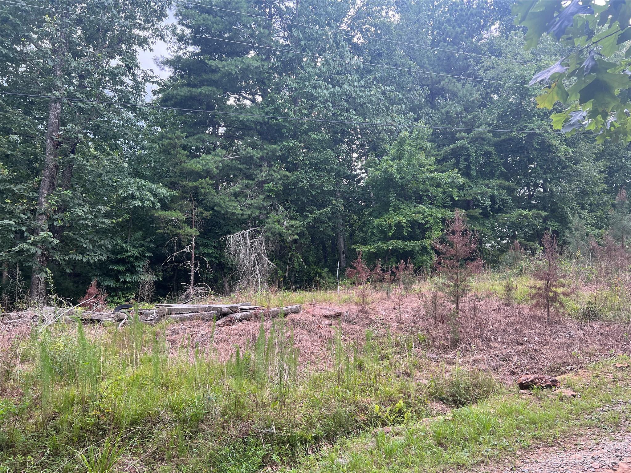 4530 Blue Ridge Boulevard Morganton, NC 28655 - Photo 2 of 8 Gallery Image 2