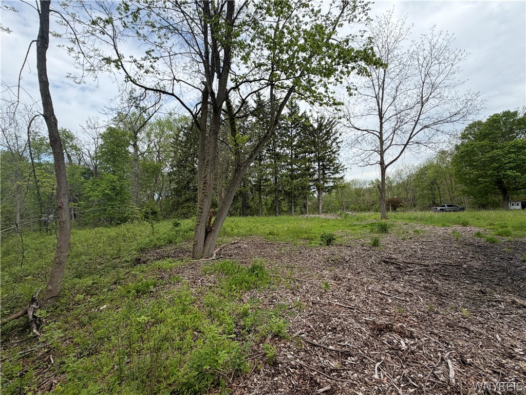 4880 Ransom Road Clarence, NY 14031 - Photo 15 of 15