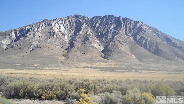 a view of a dry yard with mountains in the background
