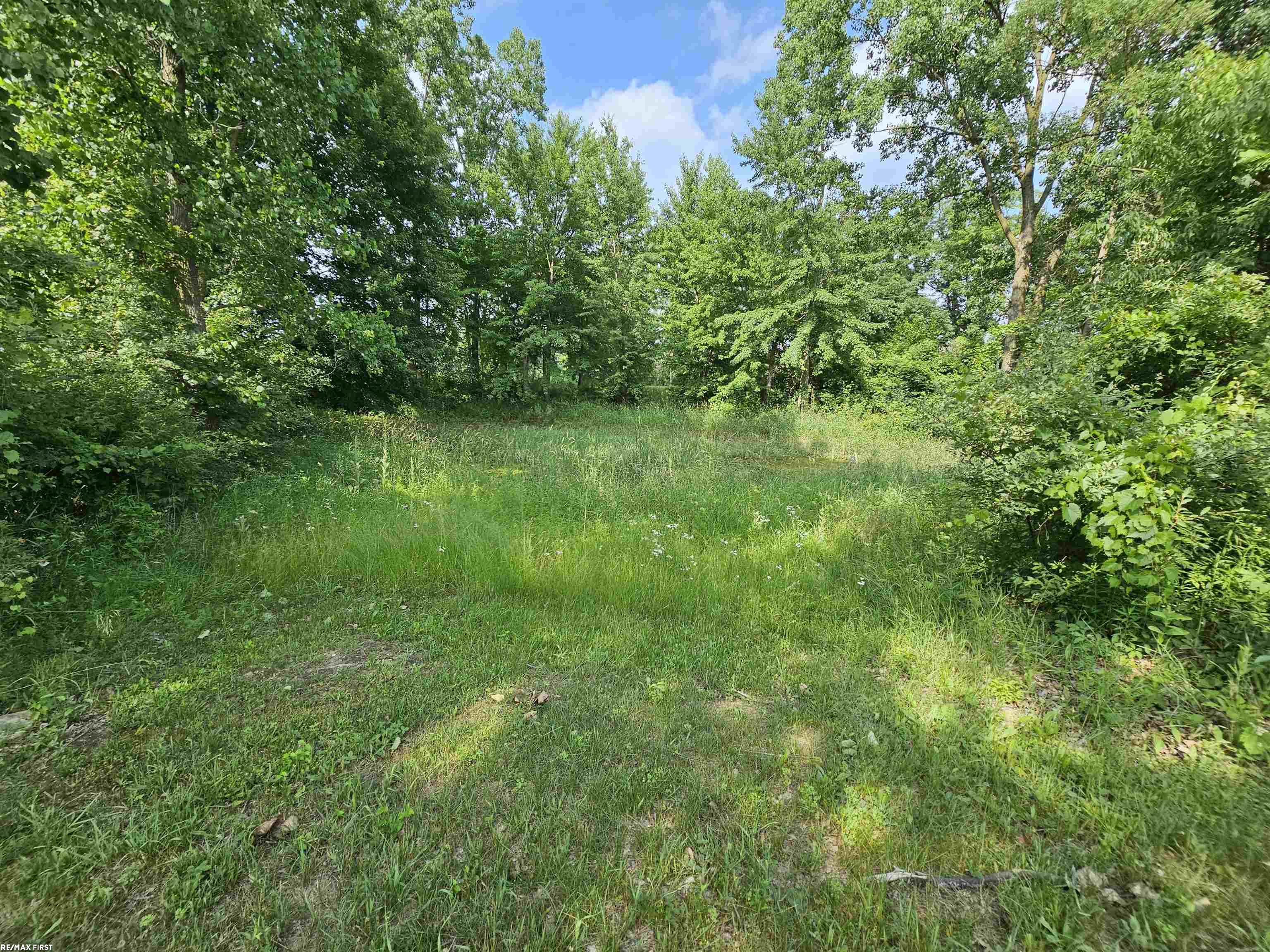 2895 Klam Road Lapeer, MI 48446 - Photo 29 of 31 50124144-28.JPG