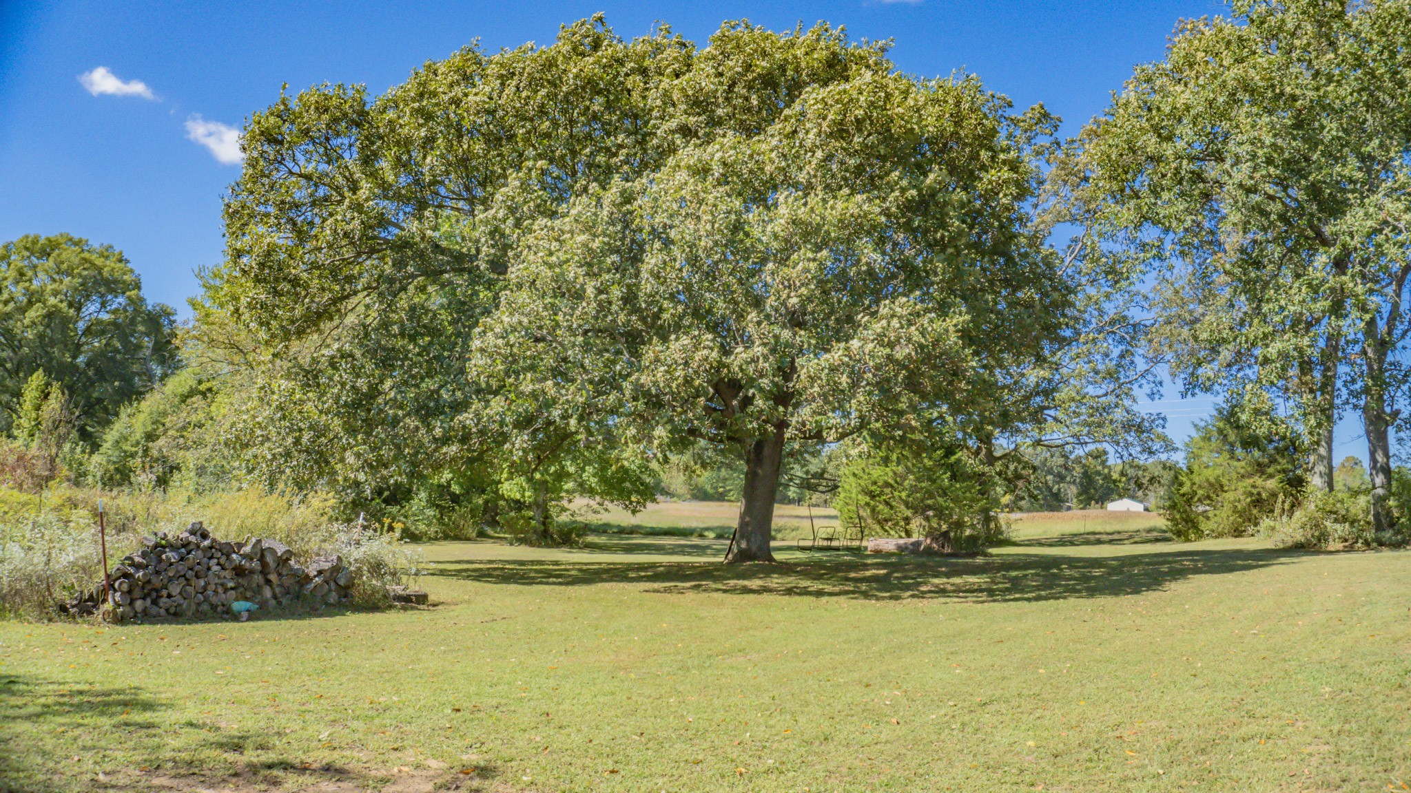 205 Dooley Road Ethridge, TN 38456 - Photo 4 of 15 Gallery Image 4