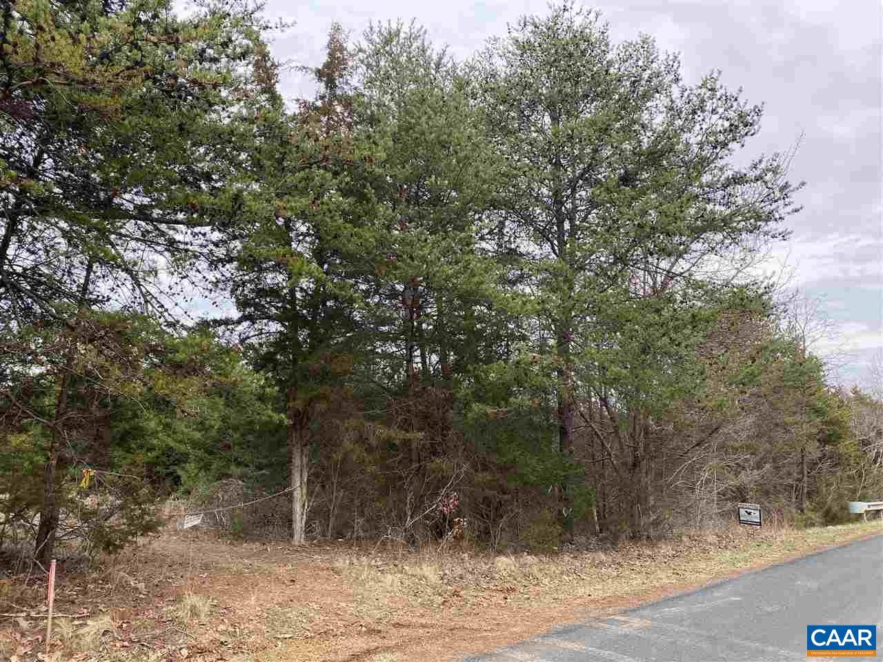 0 Shelton Store Road Wingina, VA 24599 - Photo 1 of 17 a view of a forest