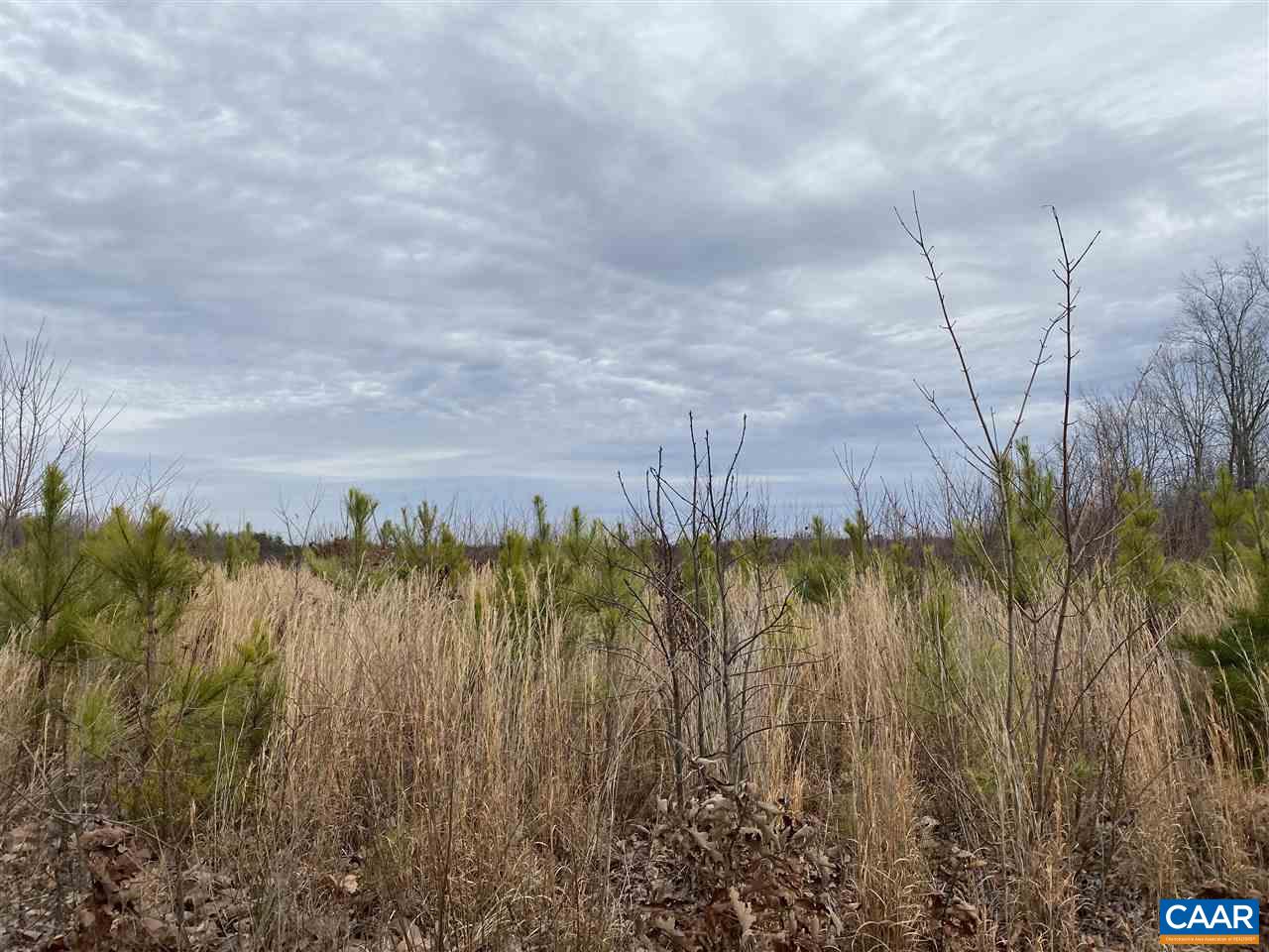 0 Shelton Store Road Wingina, VA 24599 - Photo 11 of 17 a view of a lake with houses in the back
