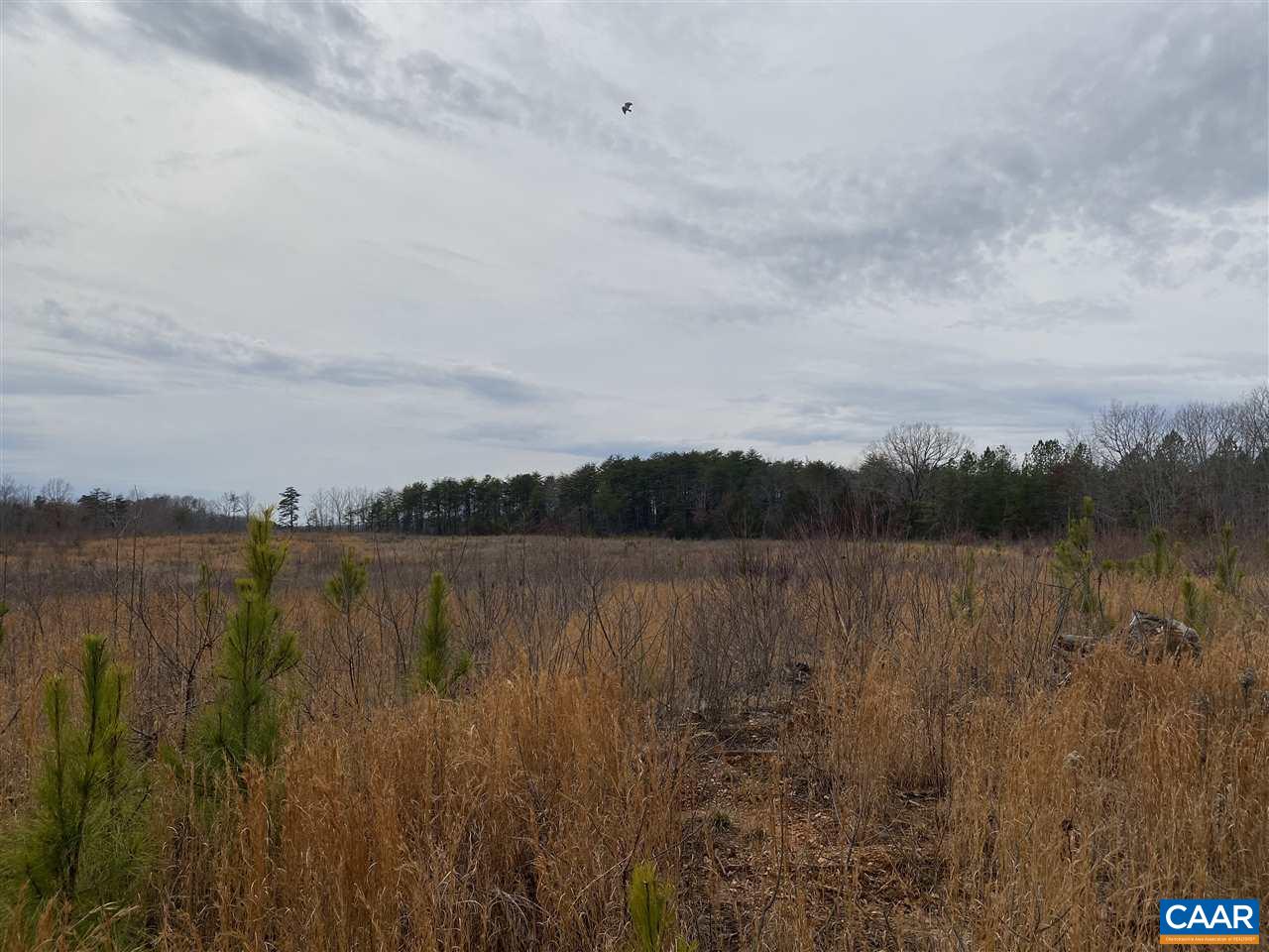 0 Shelton Store Road Wingina, VA 24599 - Photo 14 of 17 a view of lake