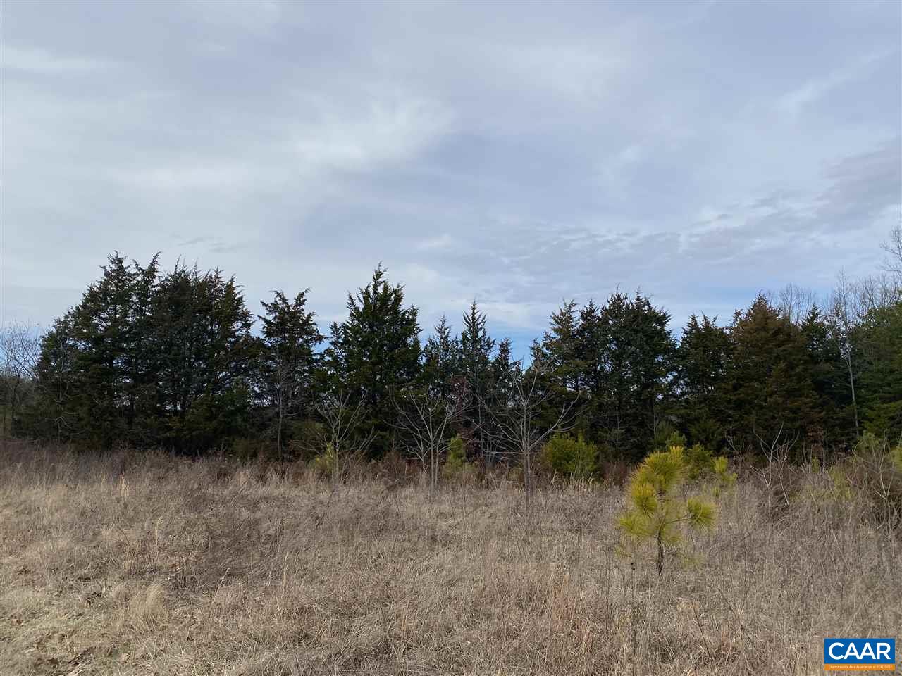 0 Shelton Store Road Wingina, VA 24599 - Photo 2 of 17 a view of a lake