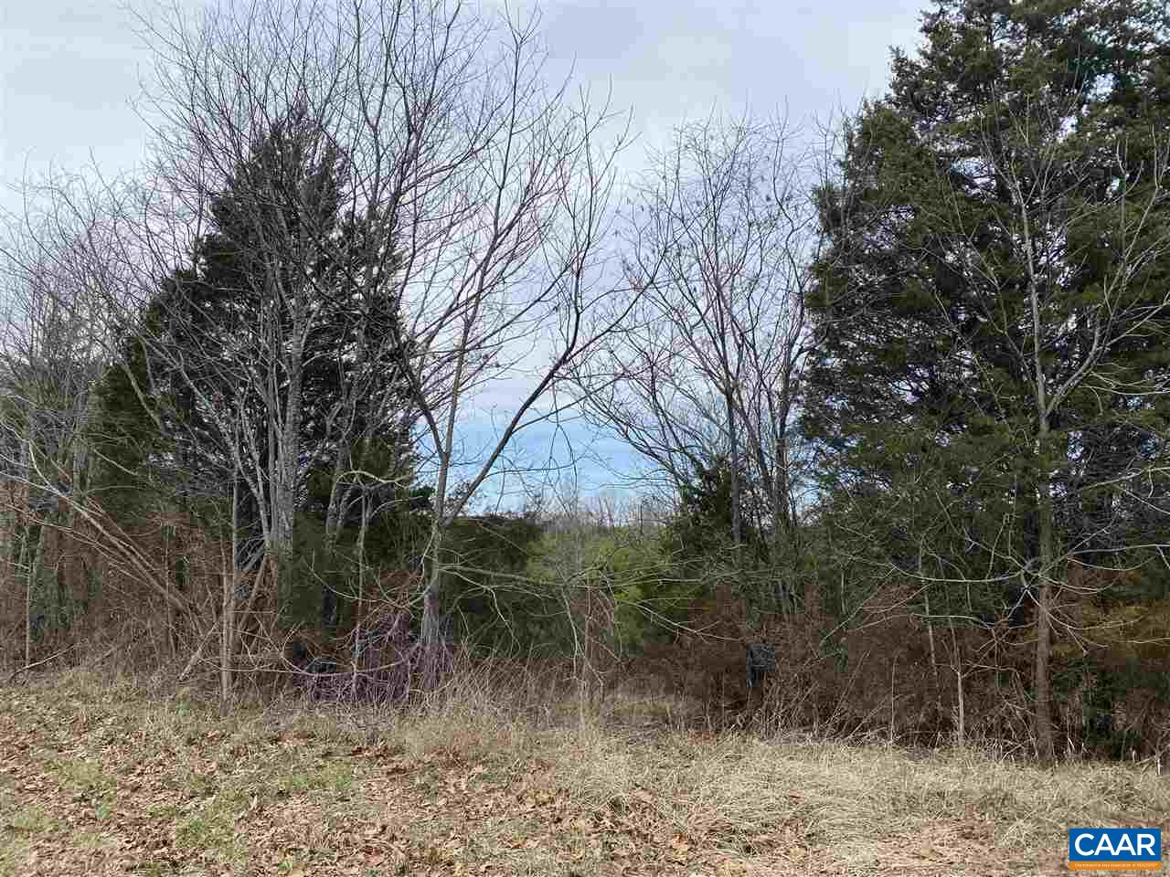 0 Shelton Store Road Wingina, VA 24599 - Photo 3 of 17 a backyard of a house with lots of trees