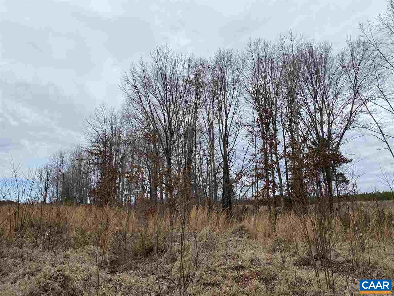 0 Shelton Store Road Wingina, VA 24599 - Photo 7 of 17 a view of river covered with trees