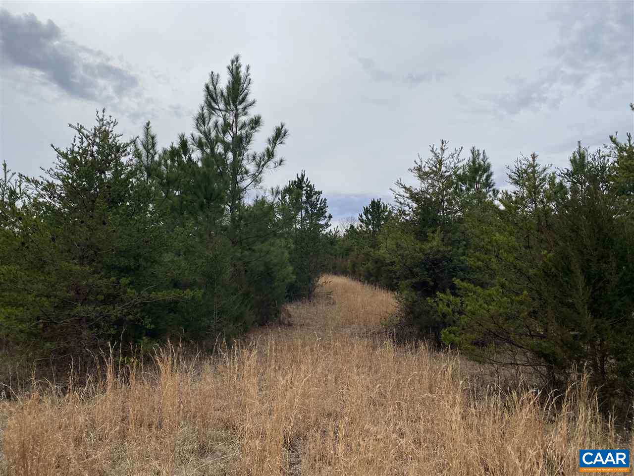 0 Shelton Store Road Wingina, VA 24599 - Photo 8 of 17 a view of a yard