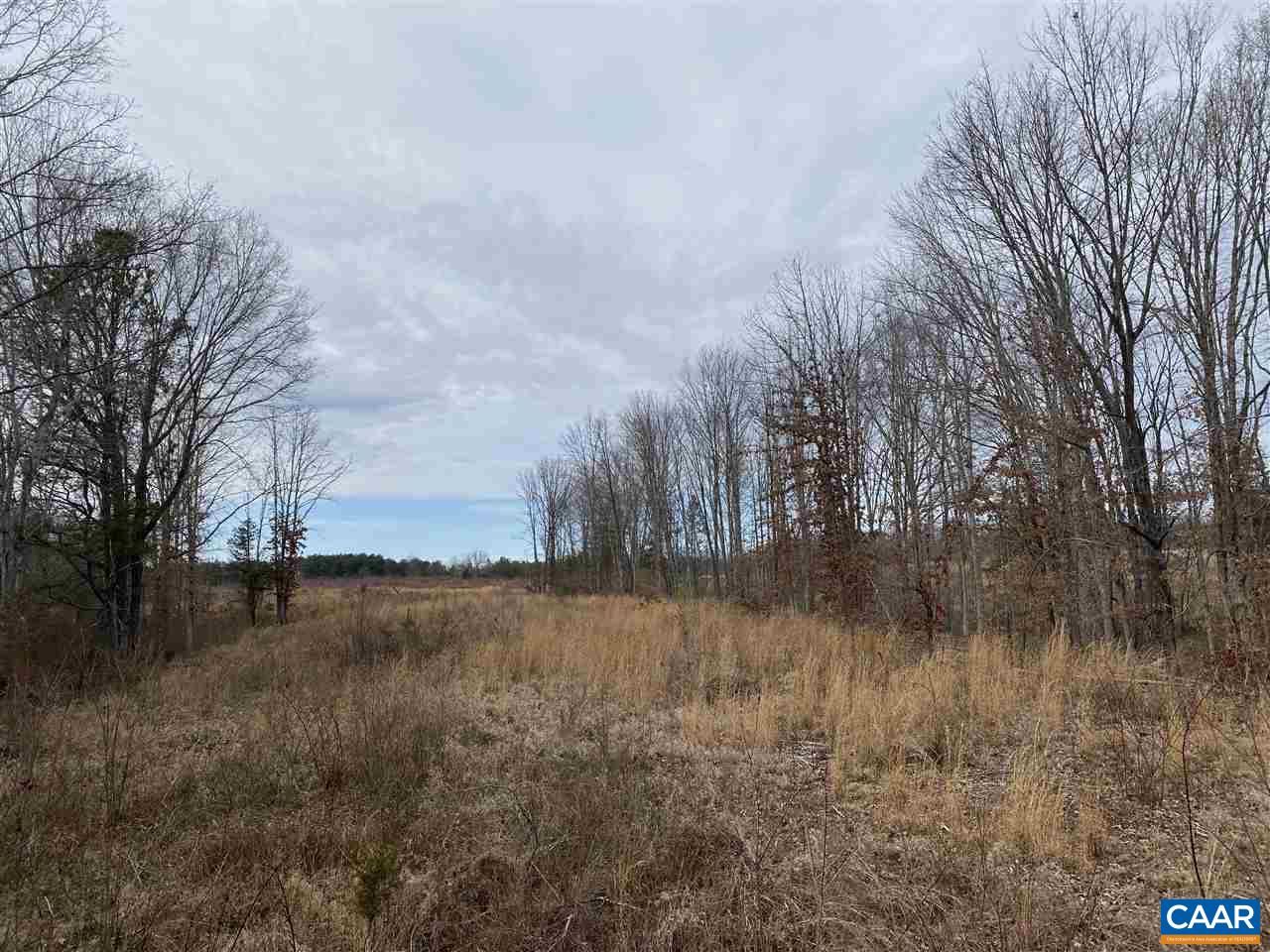 0 Shelton Store Road Wingina, VA 24599 - Photo 10 of 17