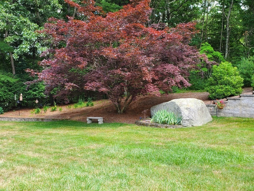 47 Southboro Road Upton, MA 01568 - Photo 6 of 42 a view of a bench in a garden