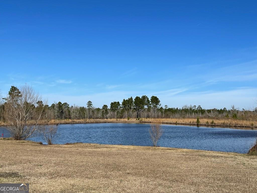 4075 Knox Mill Road Soperton, GA 30457 - Photo 1 of 1 Main View