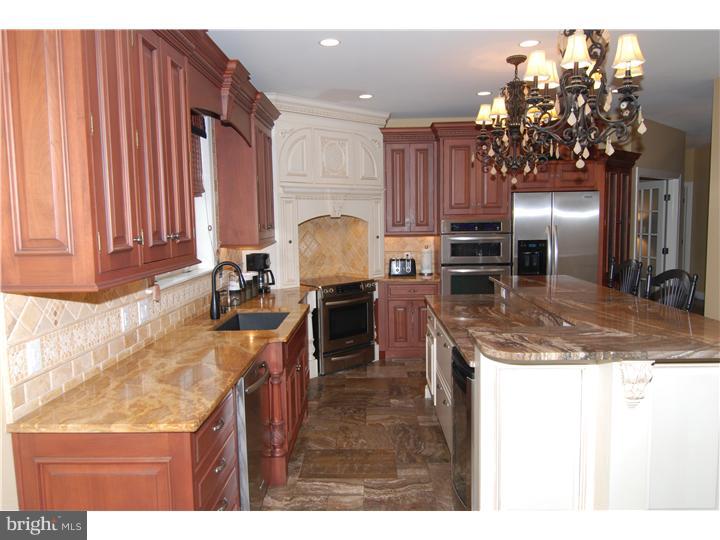 207 Steely Road Sinking Spring, PA 19608 - Photo 11 of 25 Kitchen