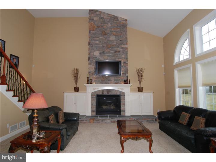 207 Steely Road Sinking Spring, PA 19608 - Photo 14 of 25 Fireplace
