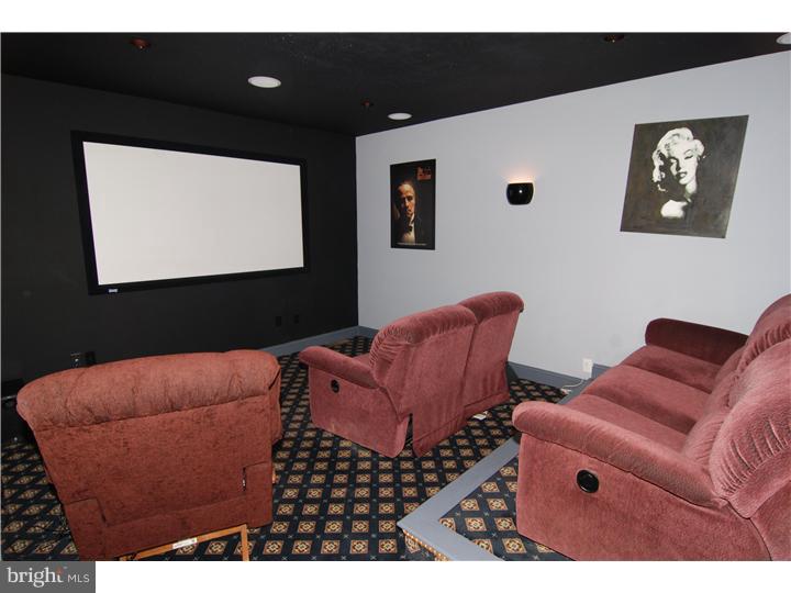 207 Steely Road Sinking Spring, PA 19608 - Photo 17 of 25 Media Room