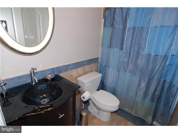 207 Steely Road Sinking Spring, PA 19608 - Photo 19 of 25 Bathroom