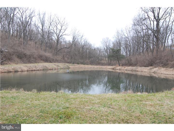 207 Steely Road Sinking Spring, PA 19608 - Photo 3 of 25 Lake / Pond