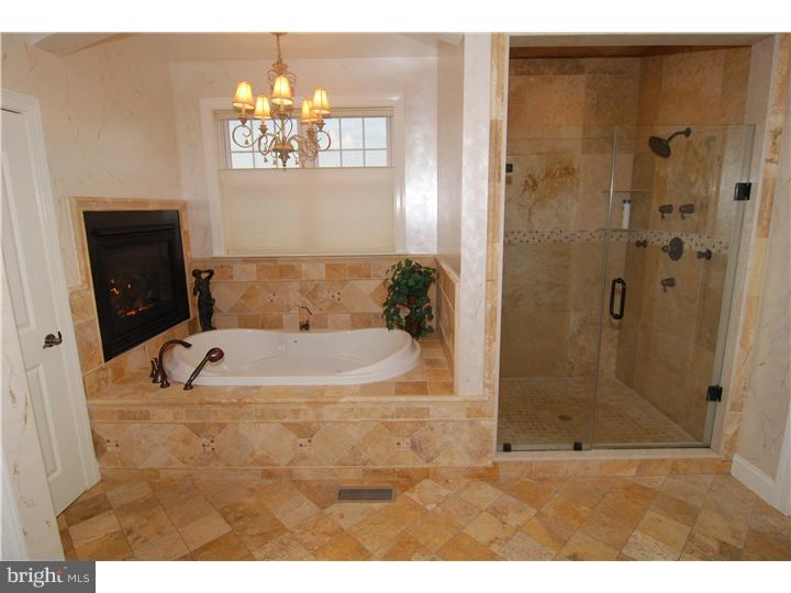 207 Steely Road Sinking Spring, PA 19608 - Photo 9 of 25 Master Bathroom