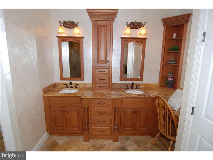 207 Steely Road Sinking Spring, PA 19608 - Photo 10 of 25 Master Bathroom