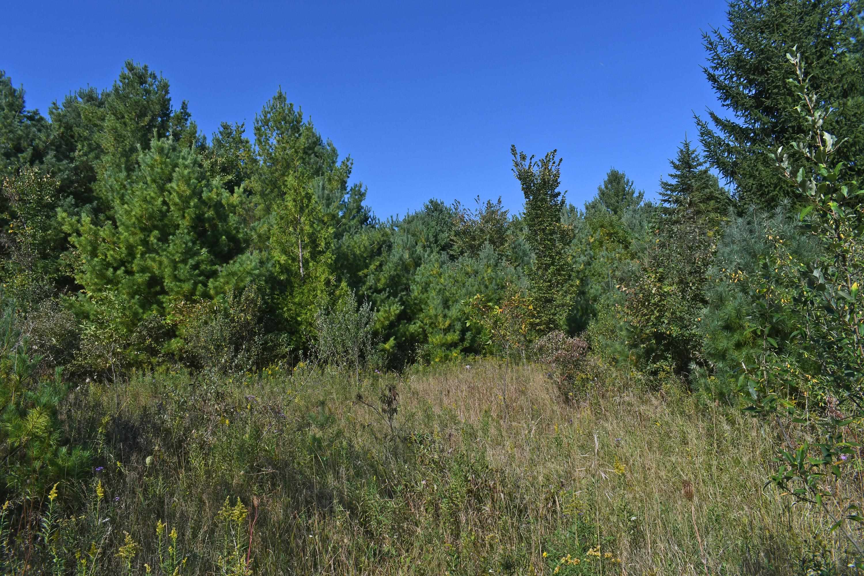 0 North Kobs Road Tawas City, MI 48763 - Photo 1 of 26