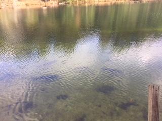 306 Roberts Road DeFuniak Springs, FL 32433 - Photo 5 of 13 a view of a lake view