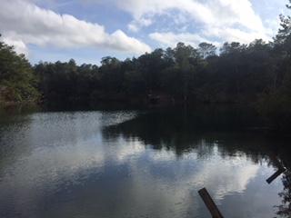 306 Roberts Road DeFuniak Springs, FL 32433 - Photo 8 of 13