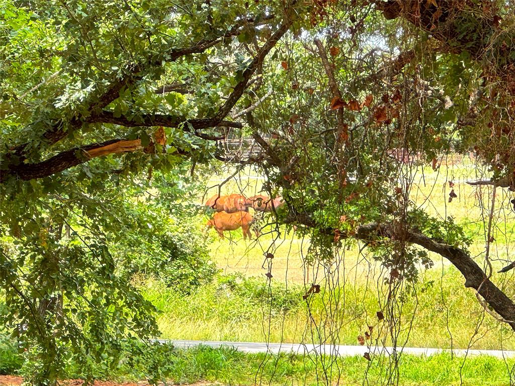 Tbd Turpin Lake Road Poolville, TX 76487 - Photo 20 of 26