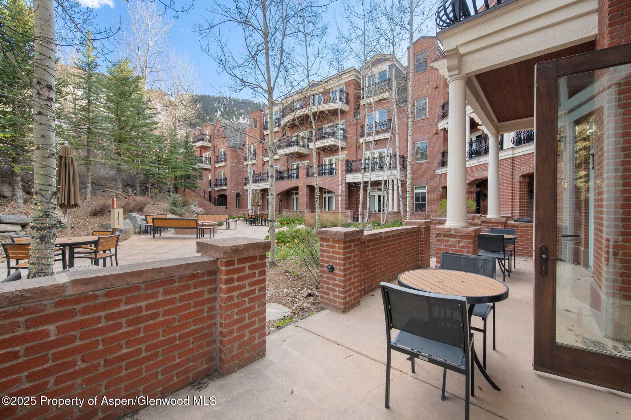 415 East Dean St Unit 4 Week 29 Aspen, CO 81611 - Photo 13 of 30 4BPatio