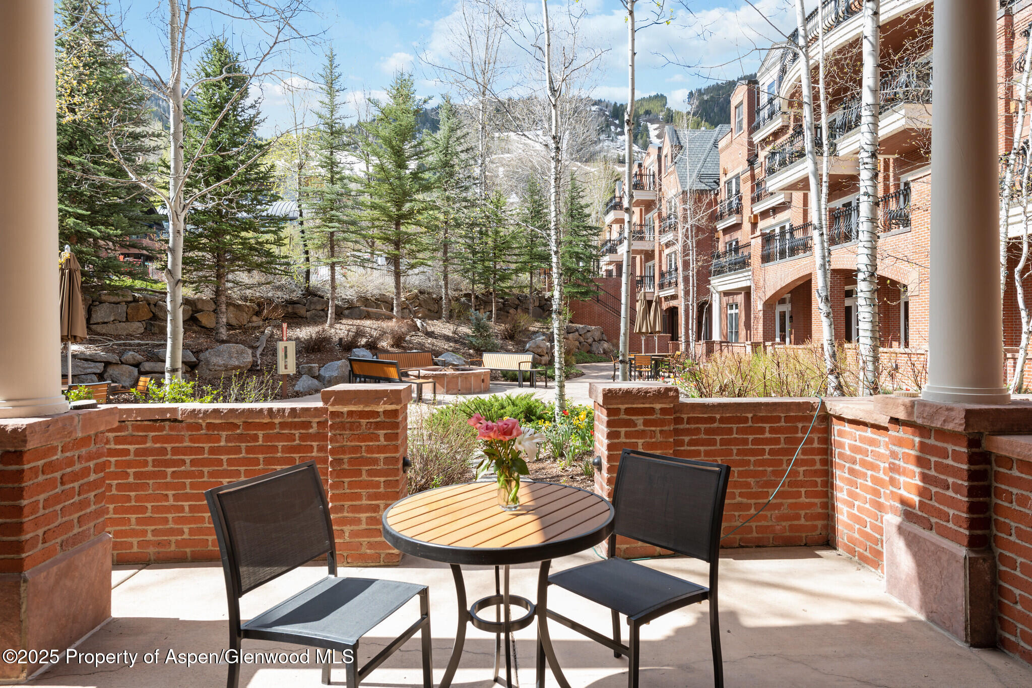 415 East Dean St Unit 4 Week 29 Aspen, CO 81611 - Photo 2 of 30 4BPatioViewtoAspenMtn