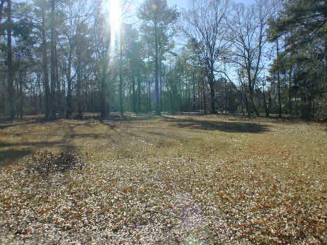 5127 Terry Road Jackson, MS 39212 - Photo 1 of 1 Photo 1