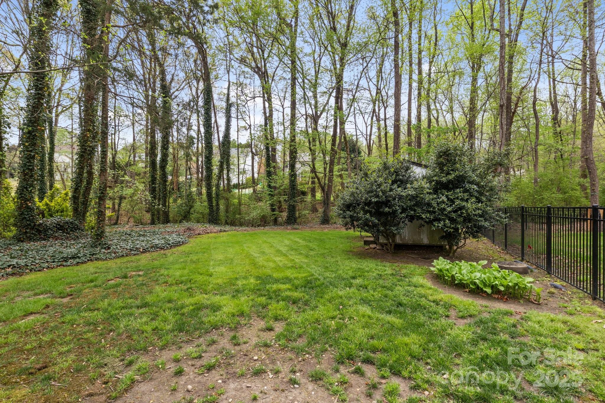 7710 Epping Forest Drive Huntersville, NC 28078 - Photo 5 of 37 a view of backyard with green space