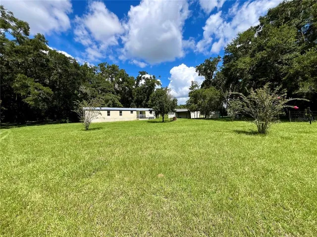 a view of a park with large trees