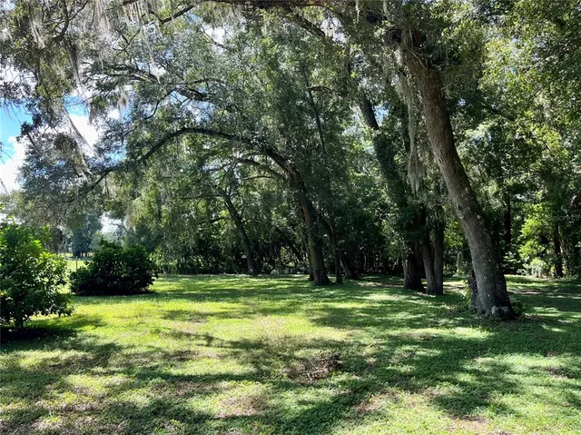 a view of outdoor space with trees all around