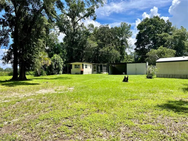 a swimming pool with lots of tress in front of it