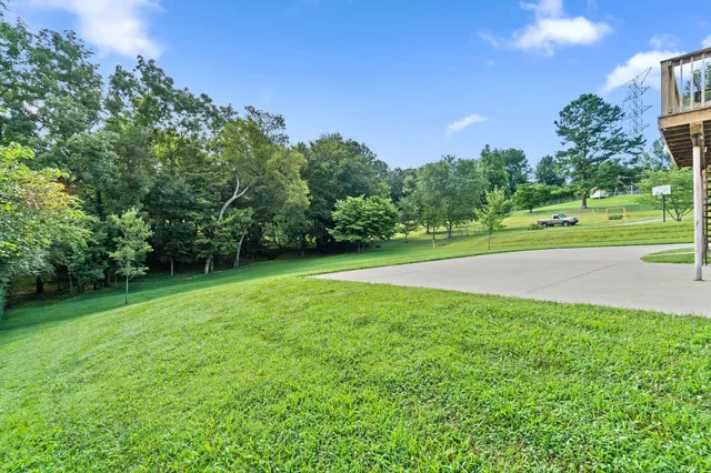 a view of a field of grass and trees